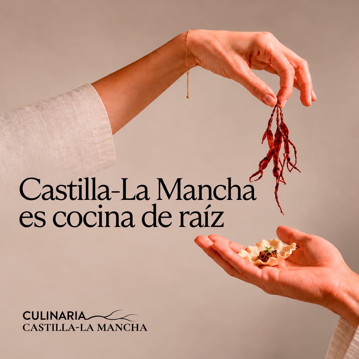 Cartel de Culinaria Castilla-La Mancha con el lema “Castilla-La Mancha es cocina de raíz”